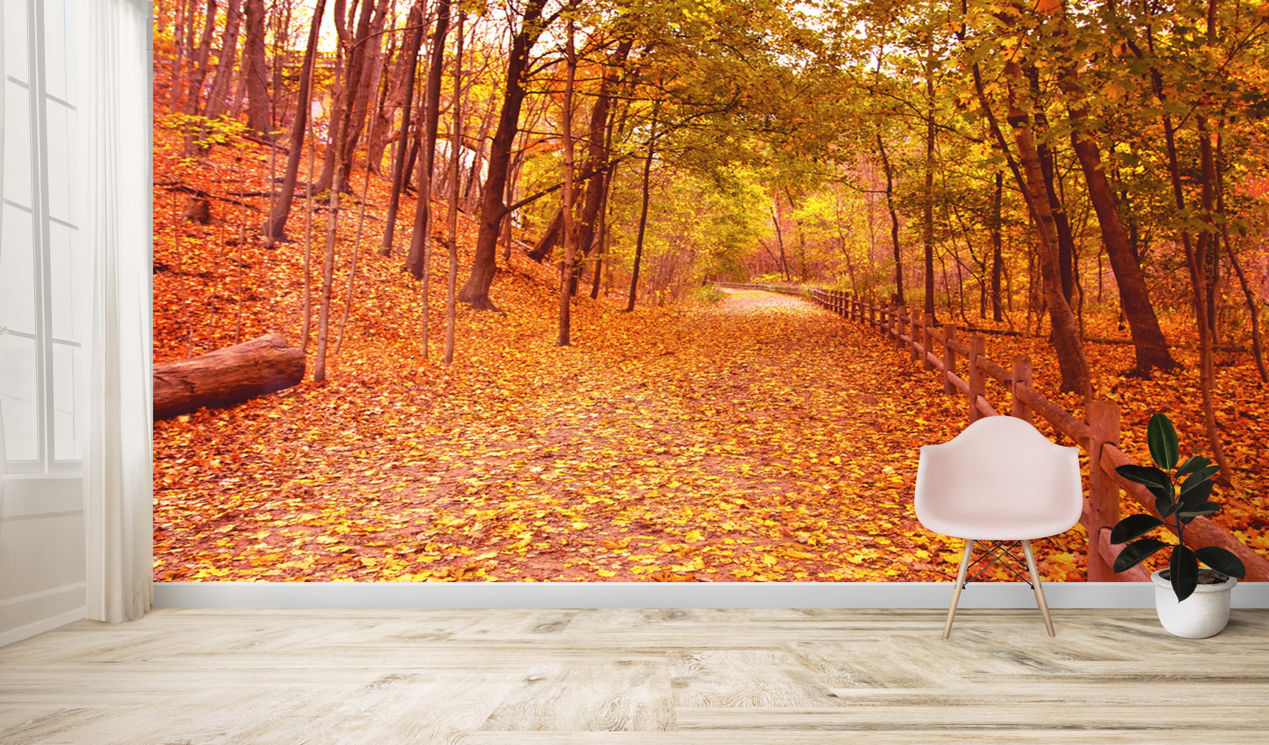 Bring the Beauty of Fall Indoors