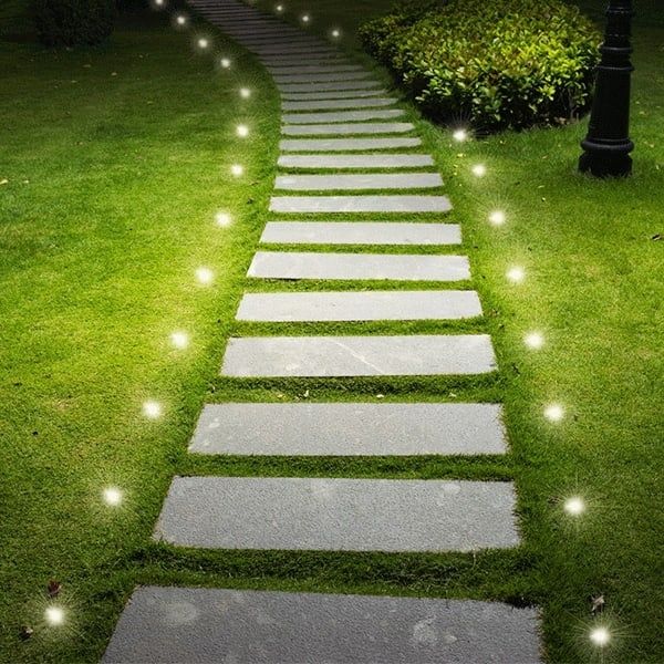 Stylish And Green Pathways Decoration With Greenary All Year Round(BAG3516)