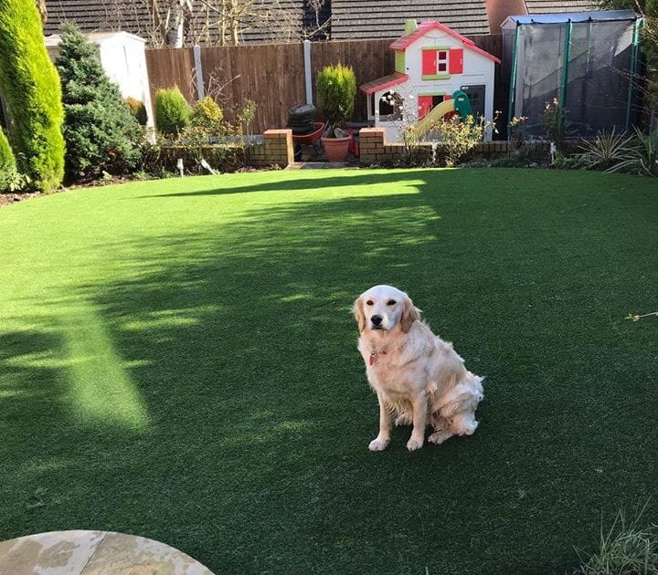 Pet Friendly Artificial Green Grass Turf (BAG4018)