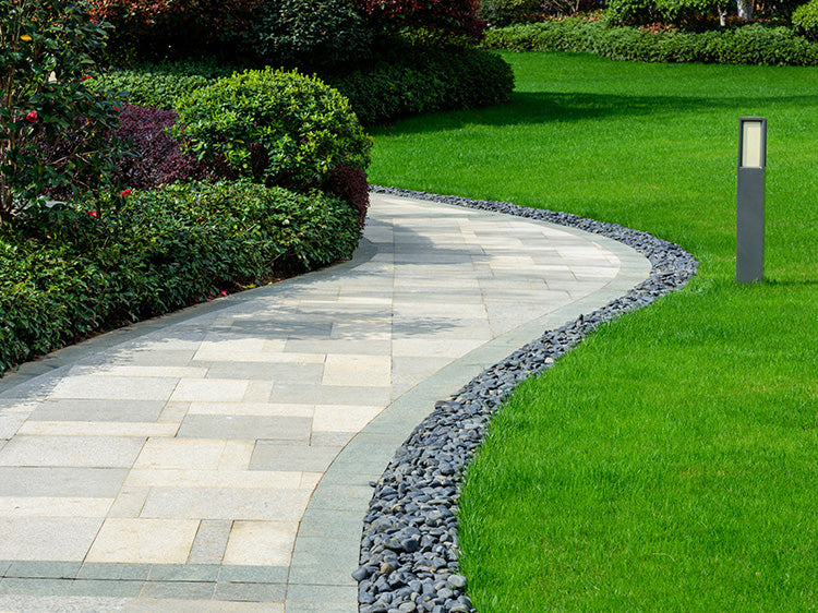 Stylish And Green Pathways Decoration With Greenary All Year Round(BAG3516)