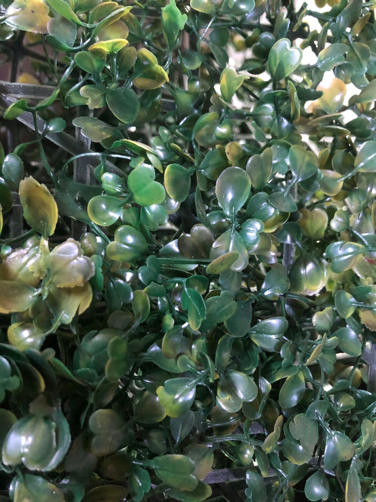 Beautiful And Refreshing Green Wall Grass Panel