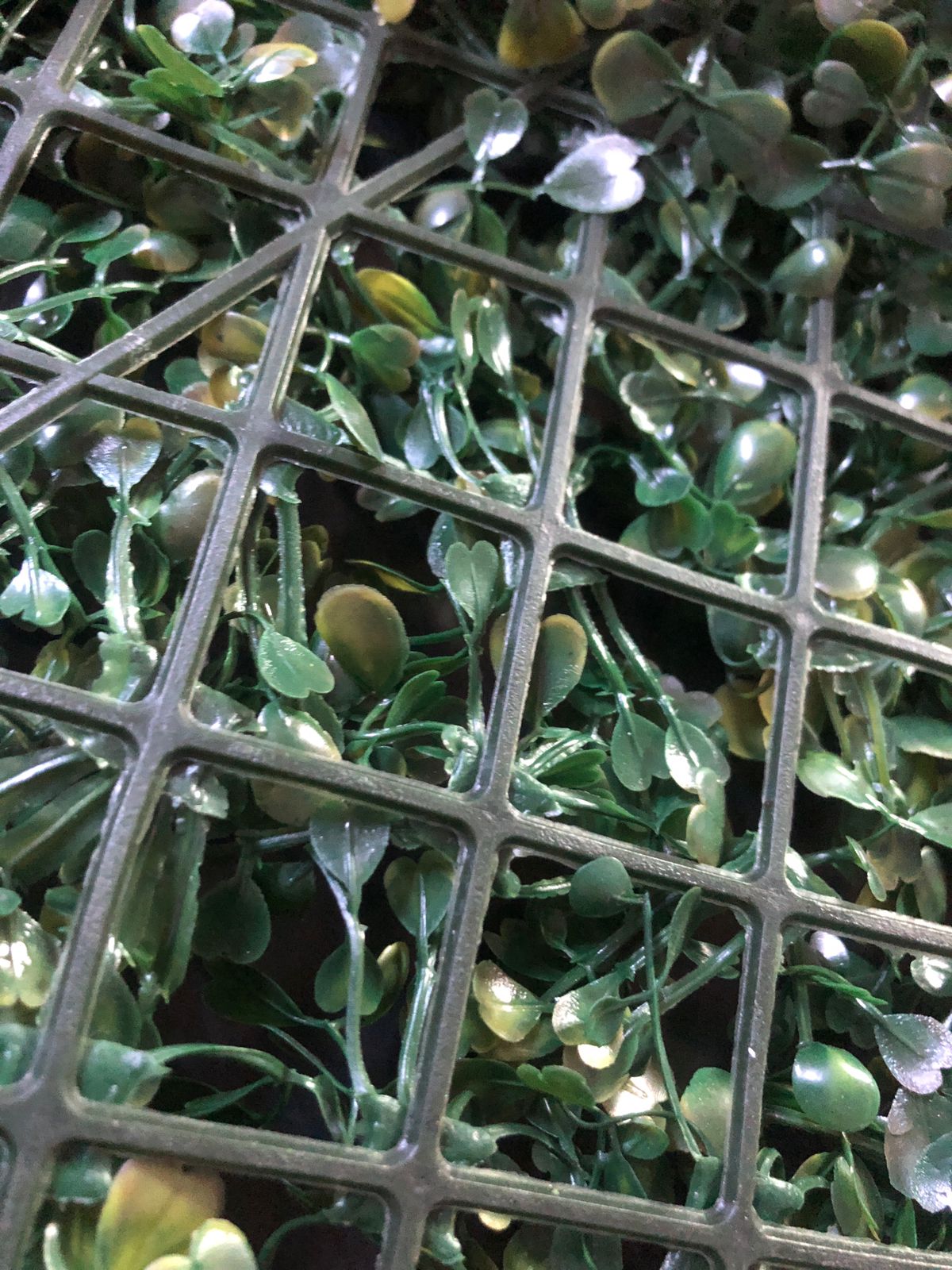 Beautiful And Refreshing Green Wall Grass Panel