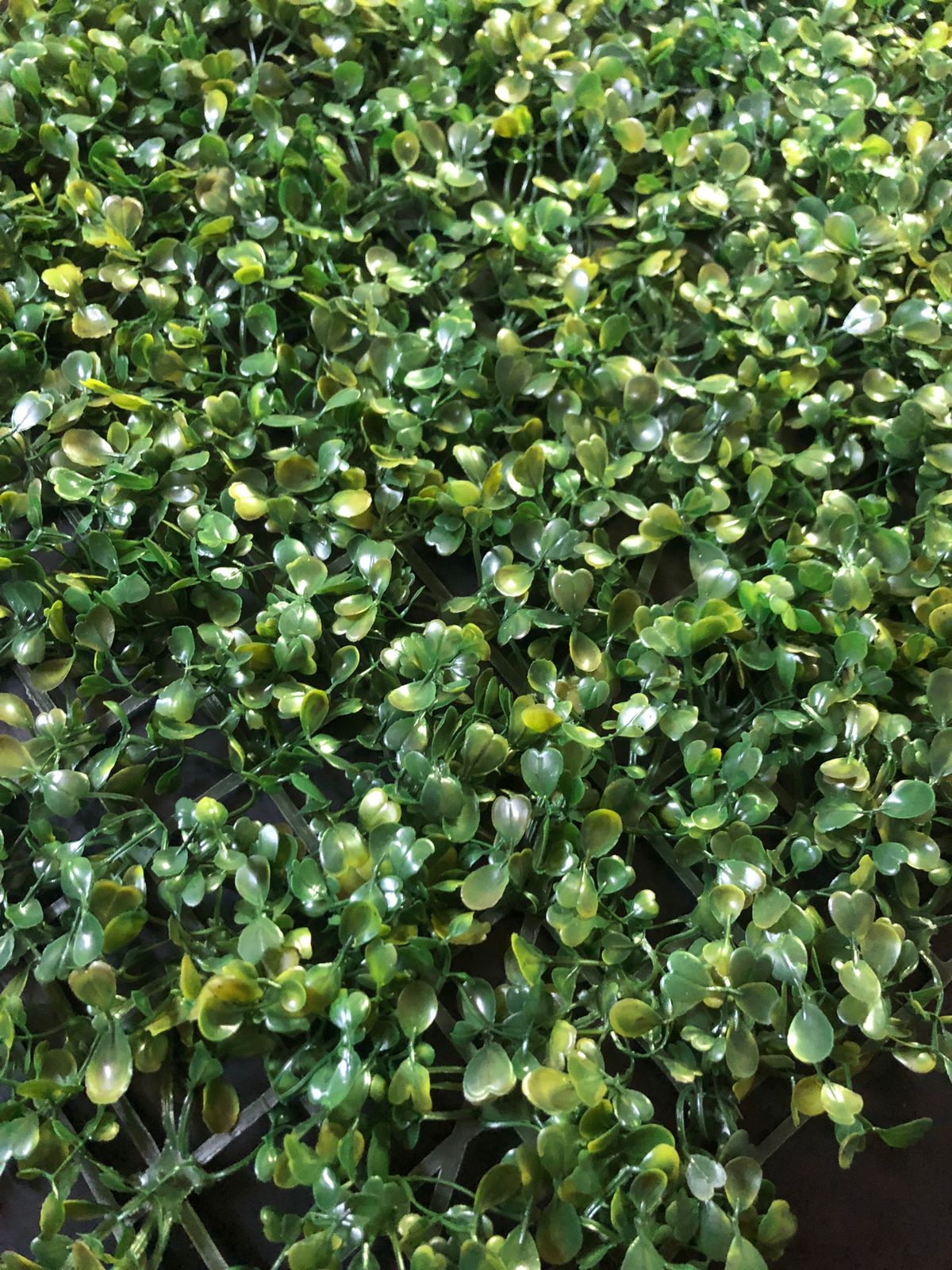 Beautiful And Refreshing Green Wall Grass Panel