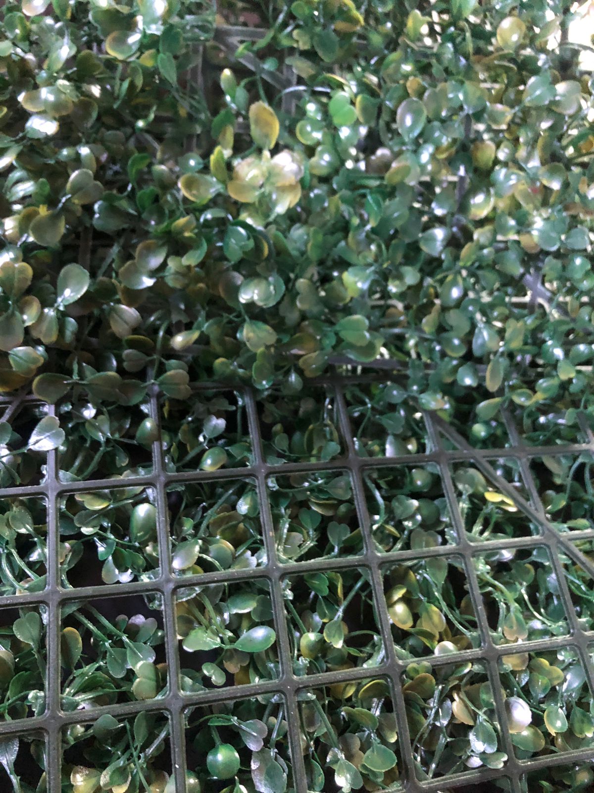 Beautiful And Refreshing Green Wall Grass Panel