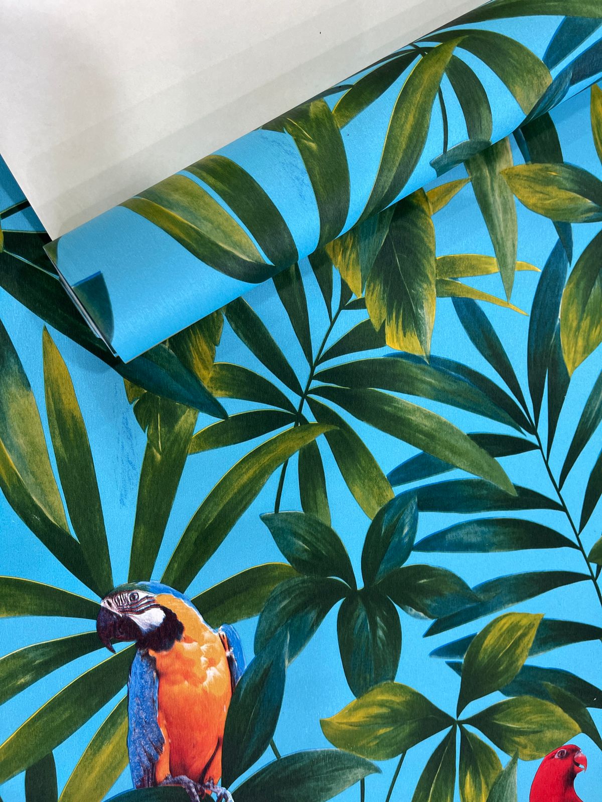 🦜 vibrant sky-blue color🌿