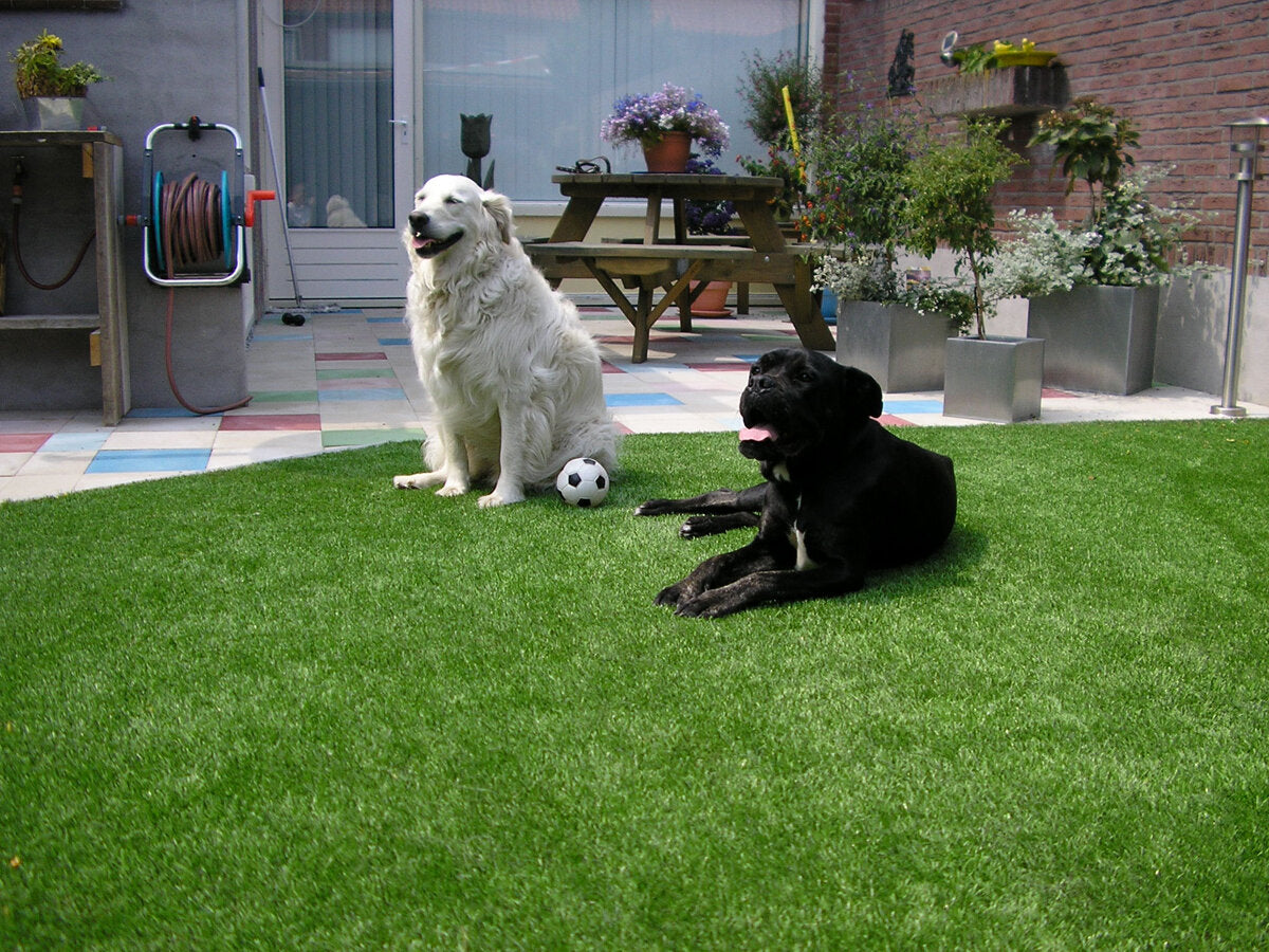 Pet Friendly Artificial Green Grass Turf (BAG4018)