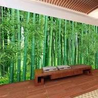 🌿 Bamboo Wallpaper Design – Natural &amp; Peaceful Look for Your Space 🌿