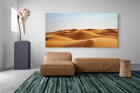 Bring the Beauty of the Desert into Your Space